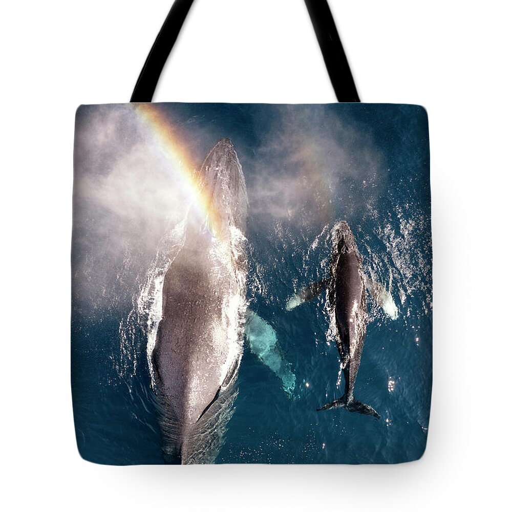 Humpback Tote Bag featuring the photograph Humpback Spout Rainbow by Christopher Johnson