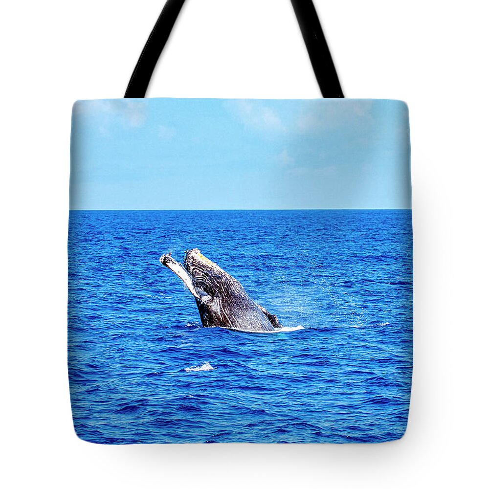 Humpback Whale Tote Bag featuring the photograph Humpback Whale Breach by Anthony Jones