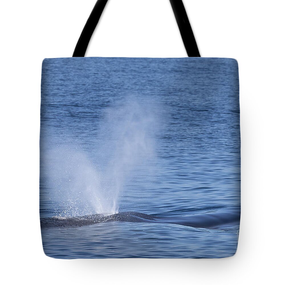 Danawharf Tote Bag featuring the photograph Humpback Whale Heart-Shaped Spout by Loriannah Hespe