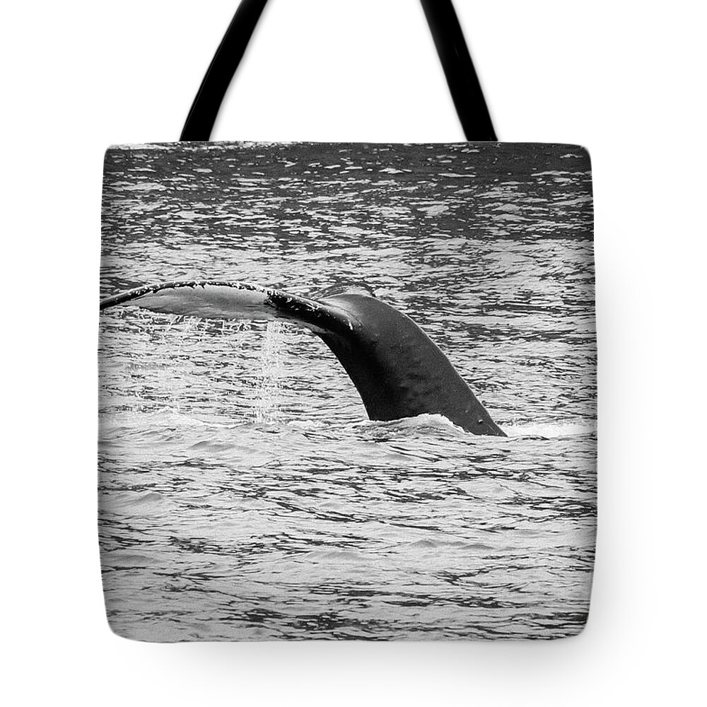 Humpback Whale Tote Bag featuring the photograph Humpback Whale Tale Grayscale by Jennifer White
