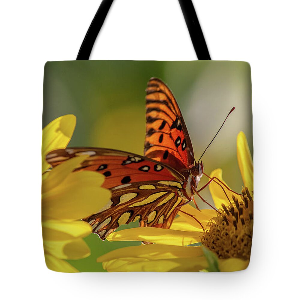 Butterfly Tote Bag featuring the photograph Hungry butterfly by Jamie Tyler