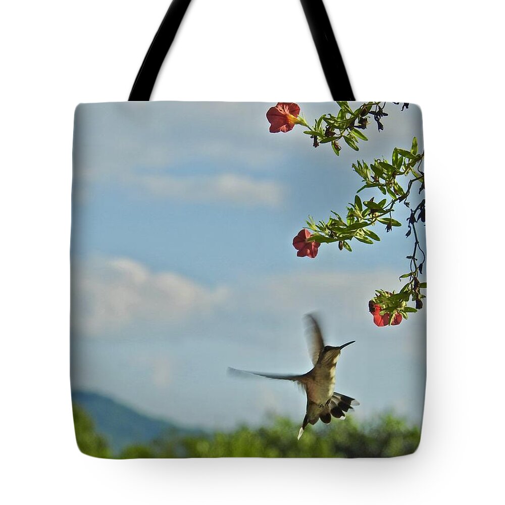 Hungry Hummingbird Tote Bag featuring the photograph Hungry Hummingbird by Kathy Chism