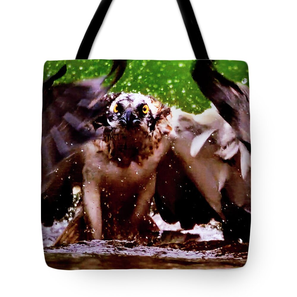 Hunting Tote Bag featuring the photograph Hunting Eagle in the water by Patricia Piotrak