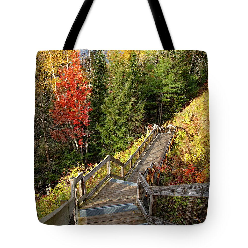Au Sable River Tote Bag featuring the photograph Huron Manistee National Forest in Michigan with fall colors by Eldon McGraw