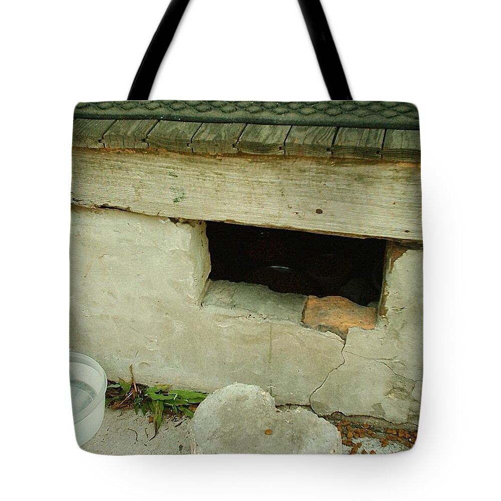 New Orleans Tote Bag featuring the photograph Hurricane Katrina Series - 22 by Christopher Lotito
