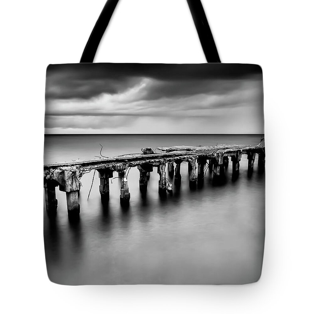 Maui Tote Bag featuring the photograph Hurricane Survivor In Black and White by Gary Johnson