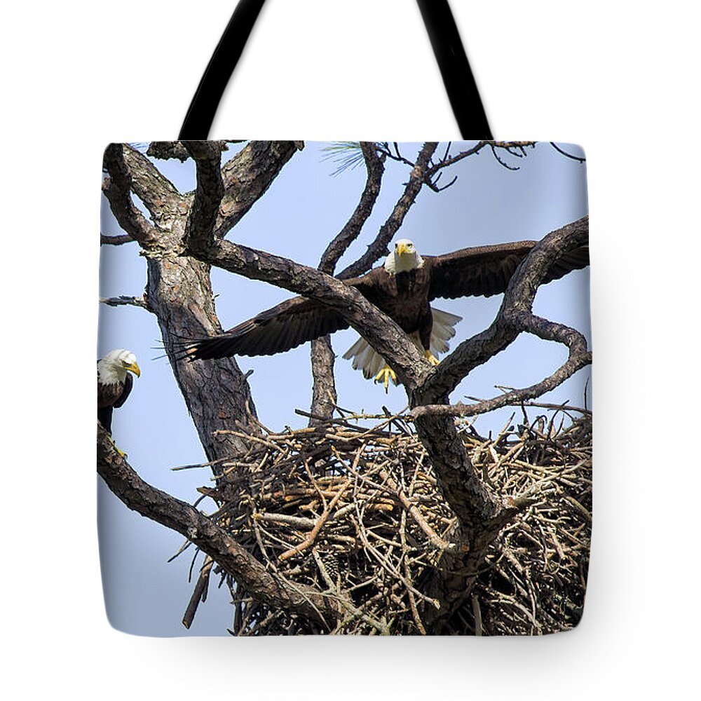 I Am Home Tote Bag featuring the photograph I Am Home, Bald Eagles by Felix Lai