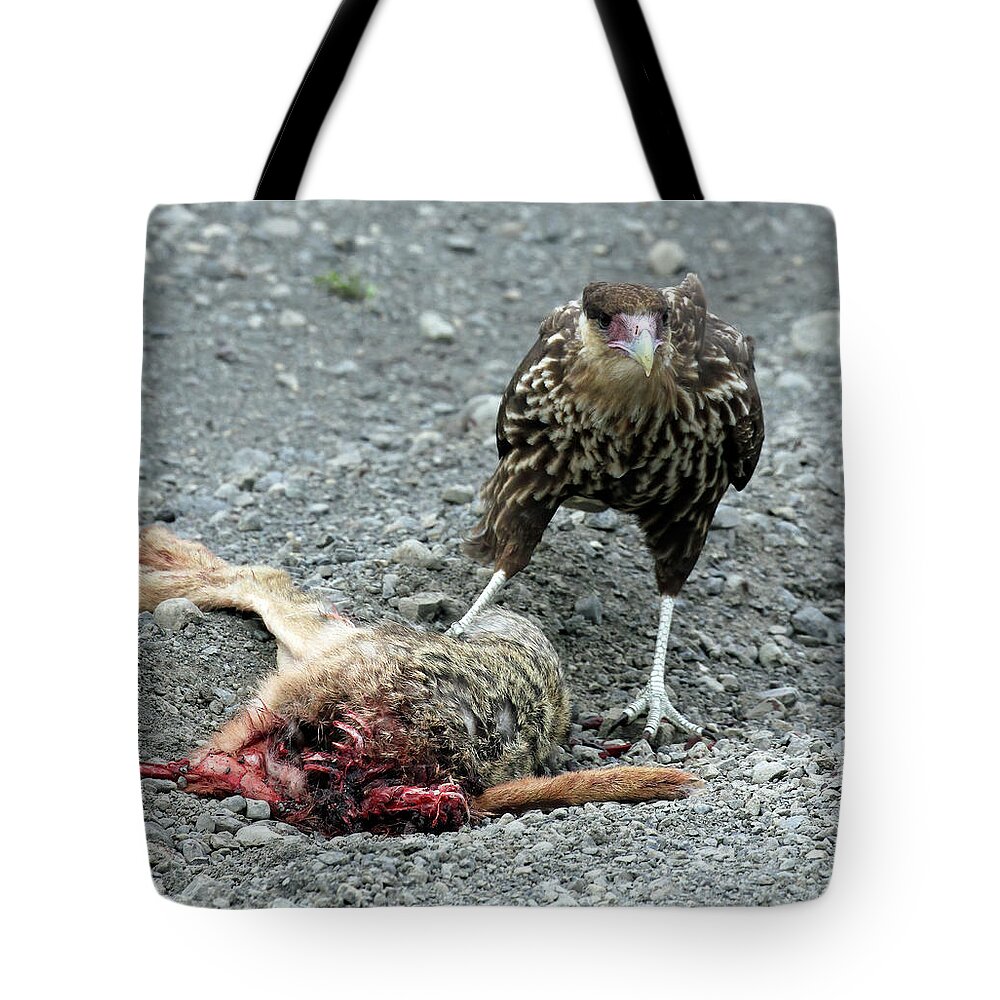 South America Tote Bag featuring the photograph I Claim Thee by Jennifer Robin