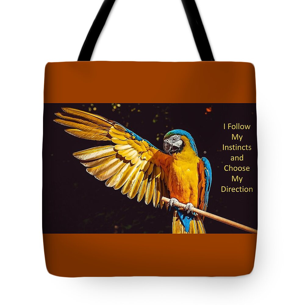 Parrot Tote Bag featuring the photograph I Follow My Instincts and Choose My Direction by Nancy Ayanna Wyatt