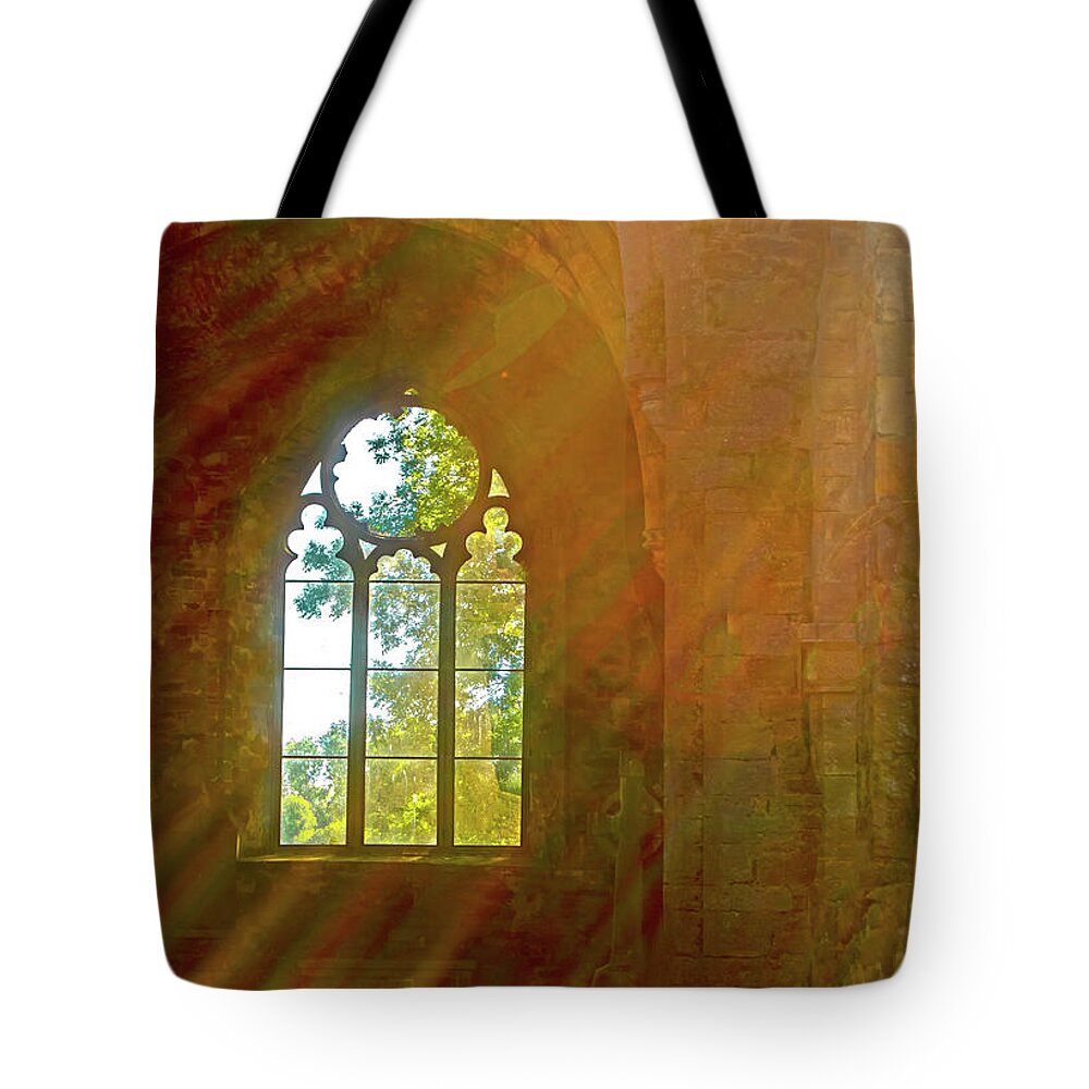 Meditation Tote Bag featuring the photograph I Imagine You Can See a Mile or Two by Edward Shmunes