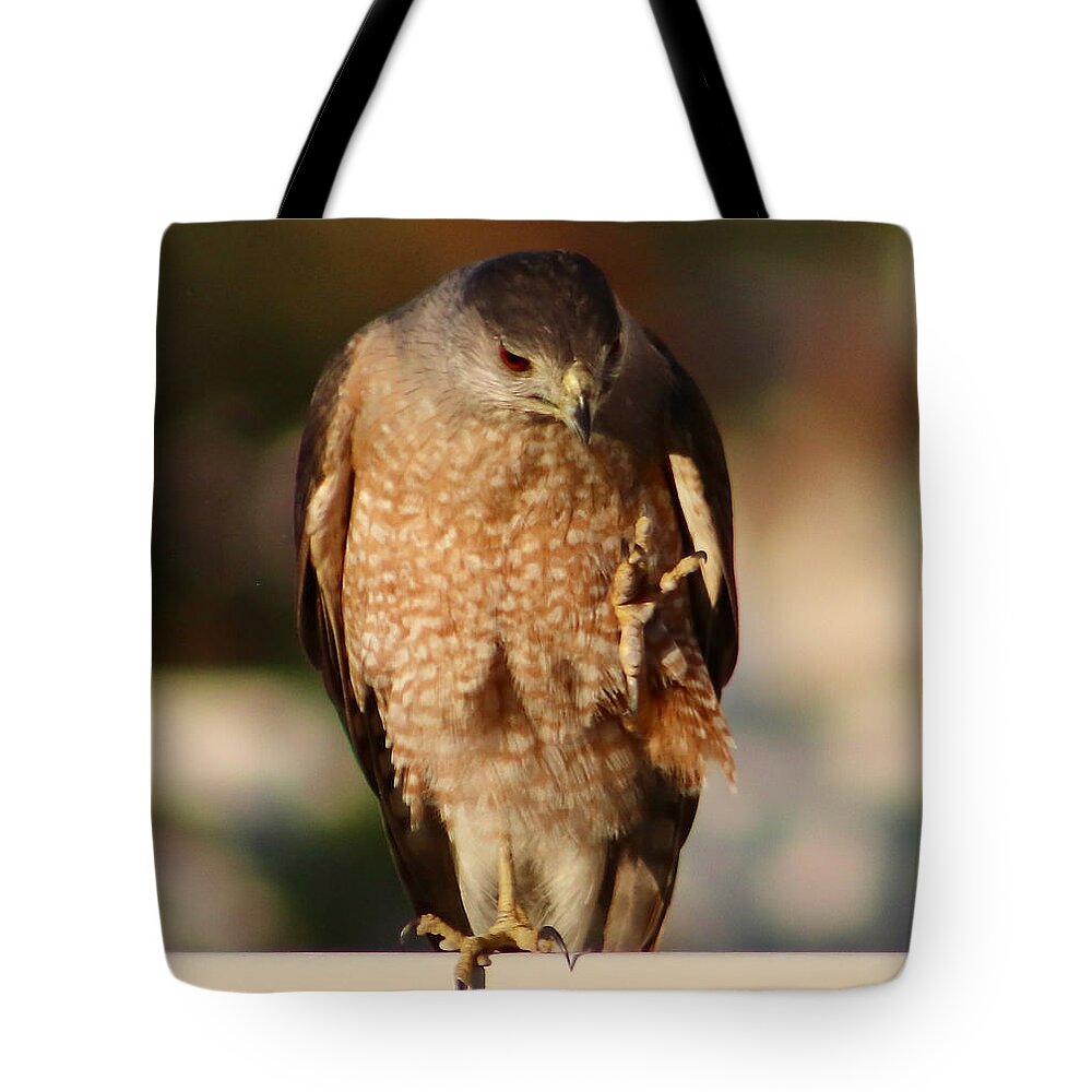 Brown Tote Bag featuring the photograph I Need A Manicure Photograph by Kimberly Walker