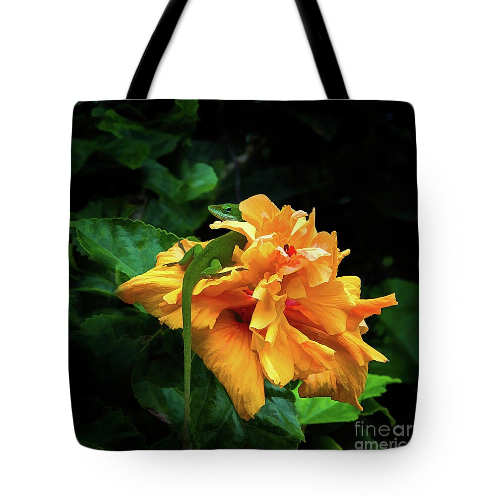 Anole Tote Bag featuring the photograph I See You by Neala McCarten