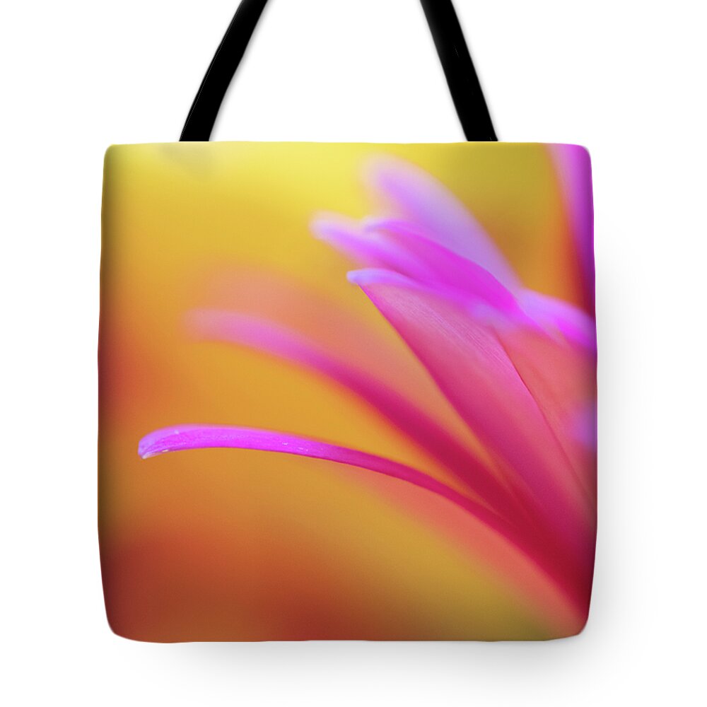 Abstract Tote Bag featuring the photograph I Want It All by Christi Kraft
