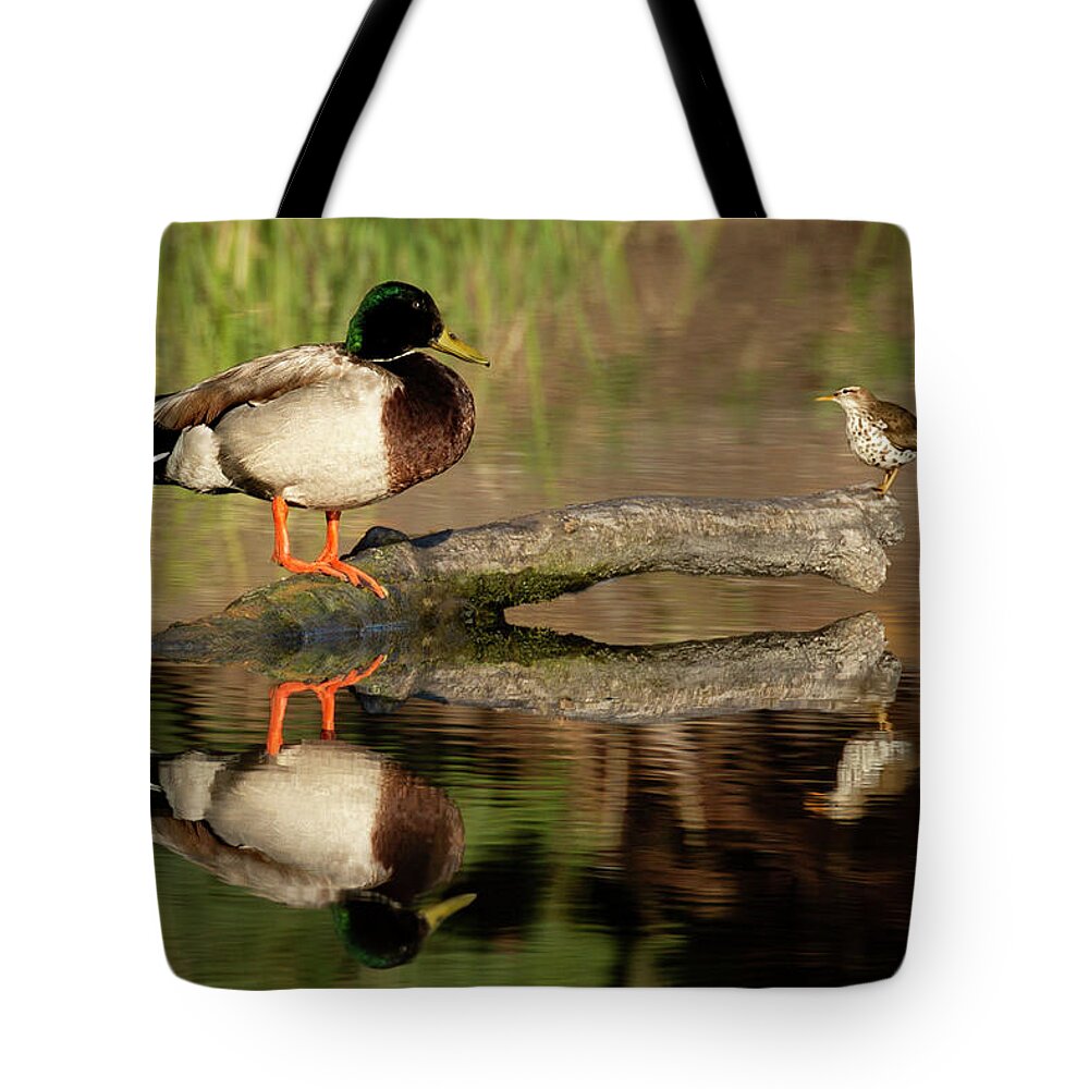 Gary Johnson Tote Bag featuring the photograph I Was Here First by Gary Johnson