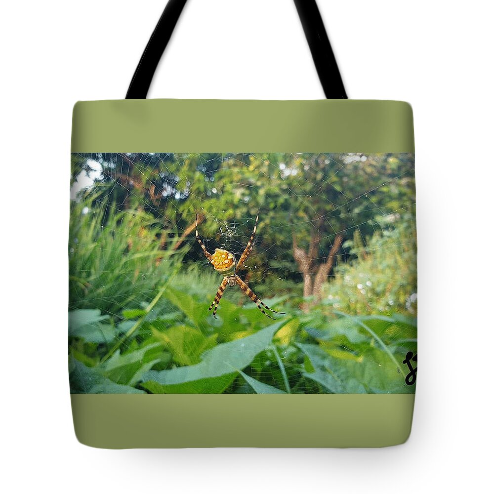 Spider Tote Bag featuring the photograph I Web You by Esoteric Gardens KN