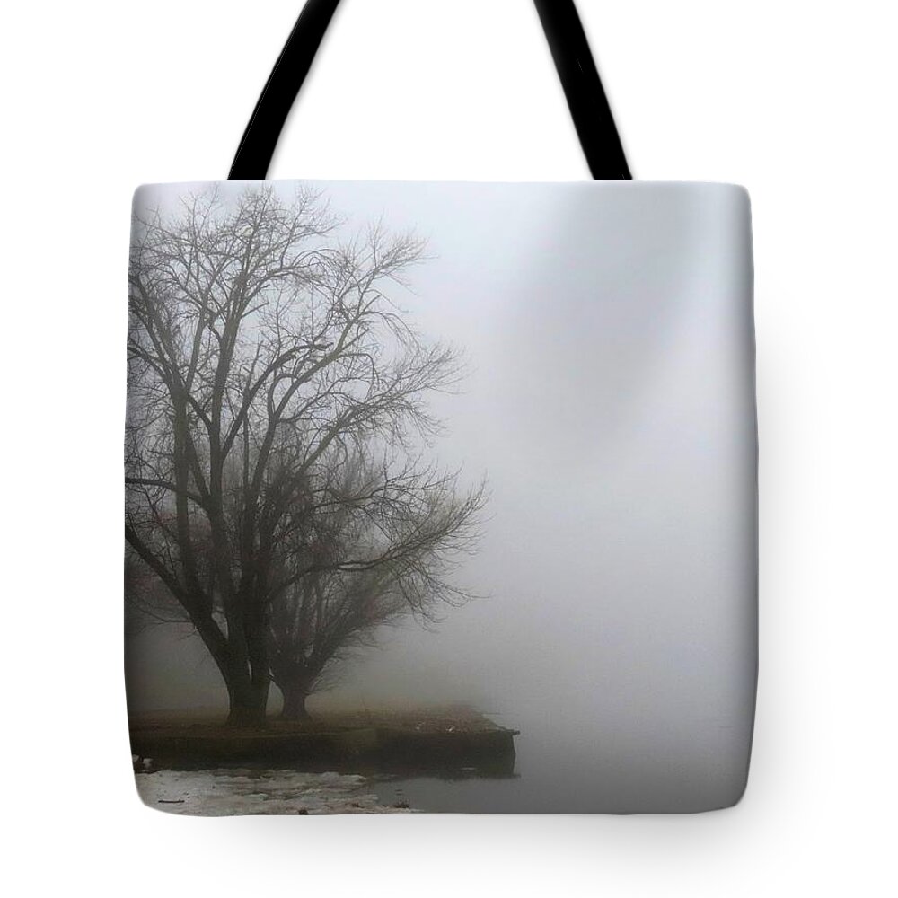 Fog Tote Bag featuring the photograph Ice and Fog on the Delaware River by Linda Stern