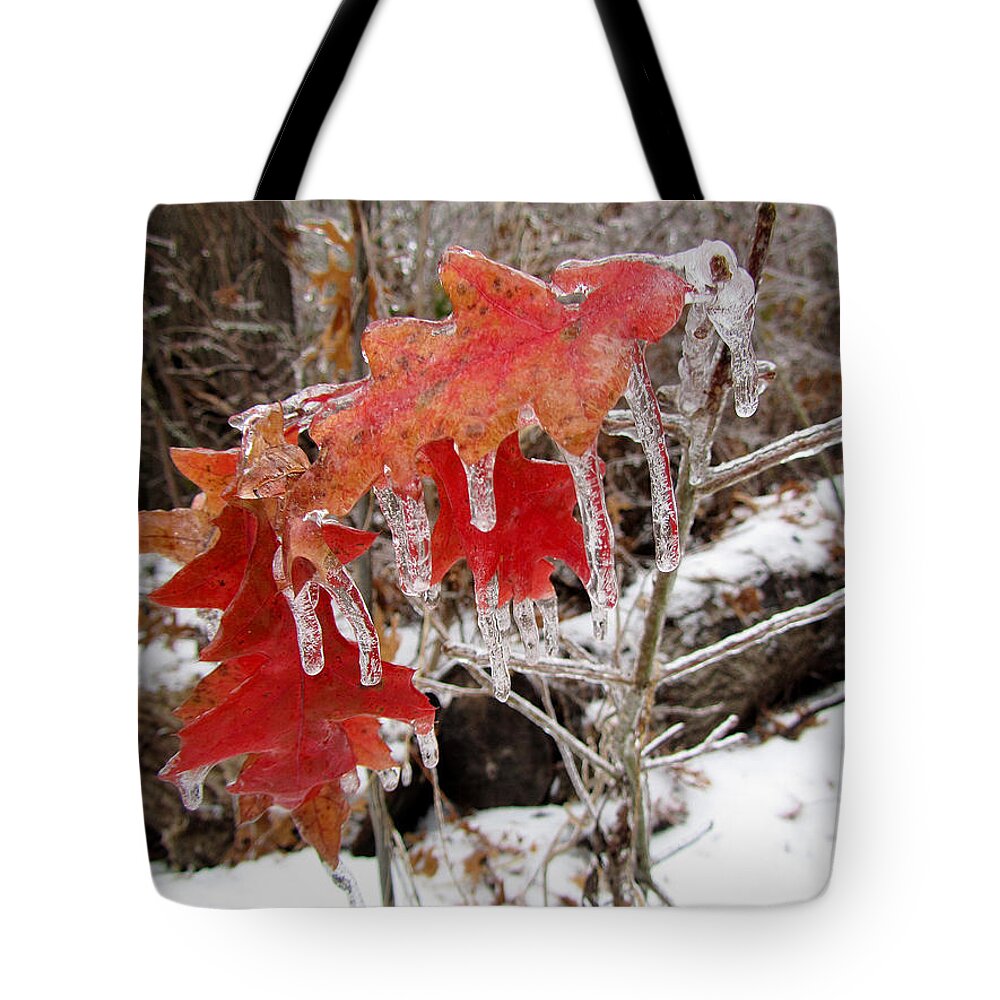 Fstop101 Ice Winter Nature Coated Red Leaves Leaf Tote Bag featuring the photograph Ice Covered Leaves by Geno Lee