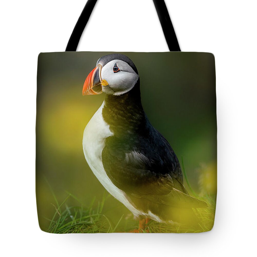 Puffin Tote Bag featuring the photograph Iceland - Atlantic puffin by Olivier Parent