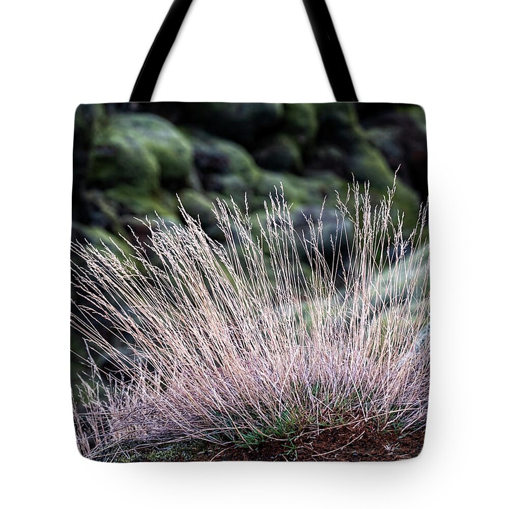 Iceland Tote Bag featuring the photograph Iceland Lava Field Plants by Catherine Reading