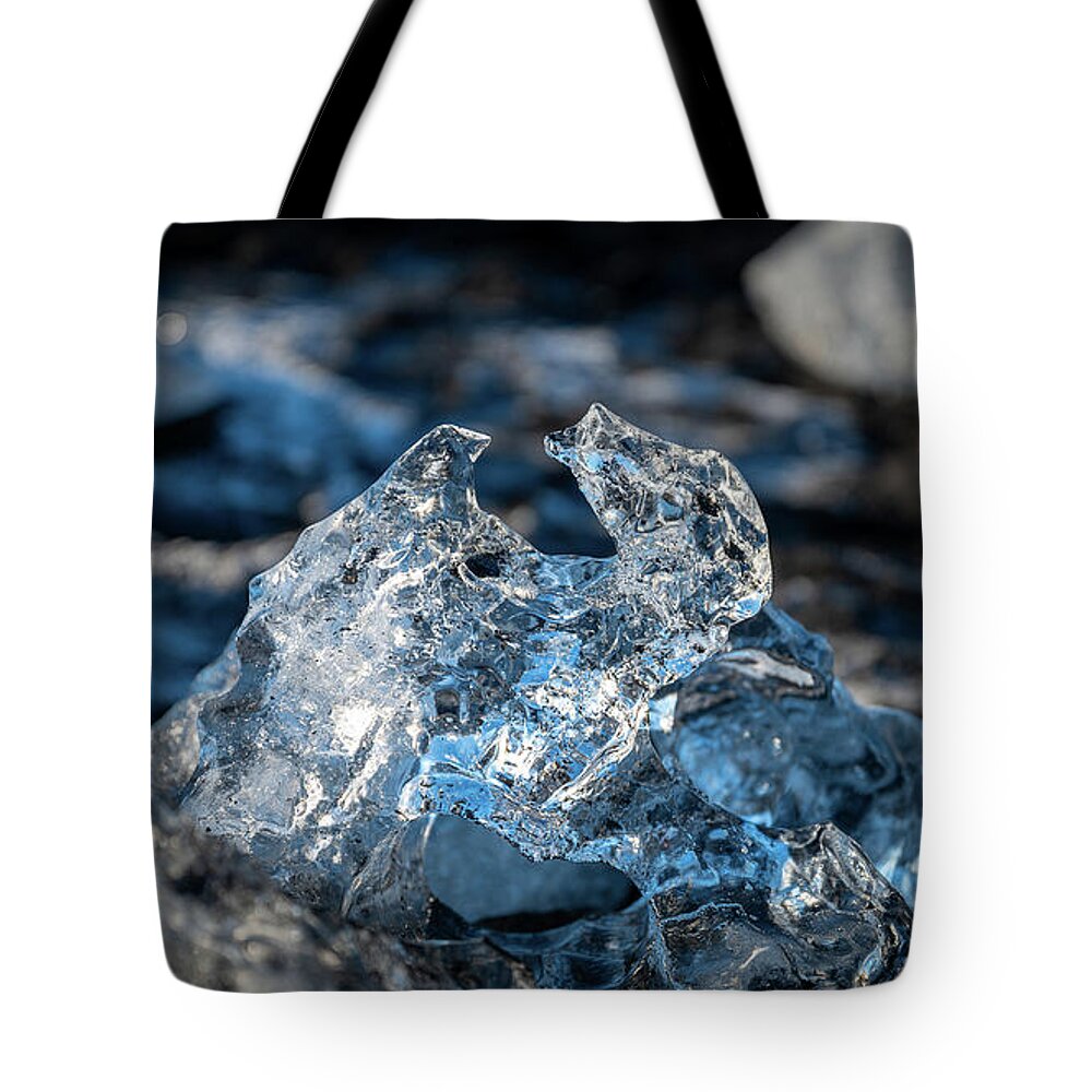 Iceland Tote Bag featuring the photograph Iceland Little Ice Bear by William Kennedy