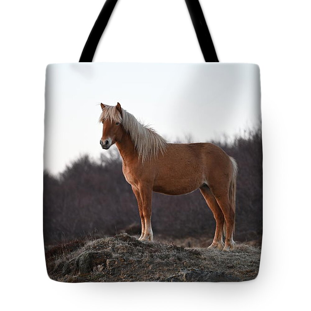 Iceland Tote Bag featuring the photograph Icelandic Horse Brown Blonde by William Kennedy