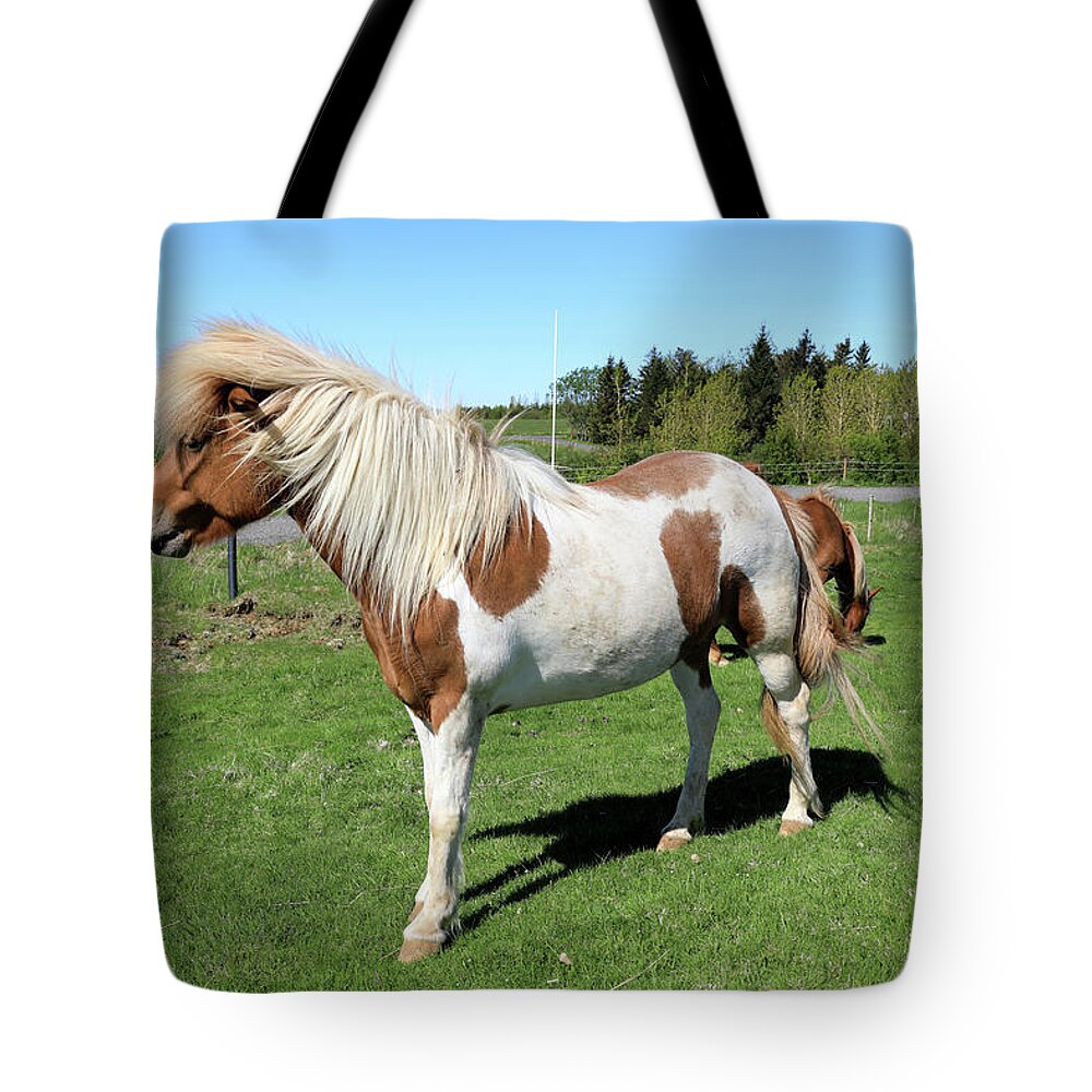 Horse Tote Bag featuring the photograph Icelandic Horse by Richard Krebs