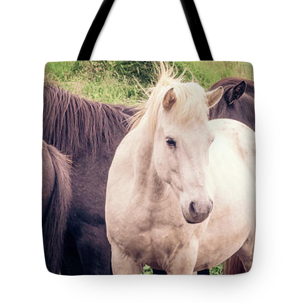 Horses Tote Bag featuring the photograph Icelandic horses panorama by Delphimages Photo Creations
