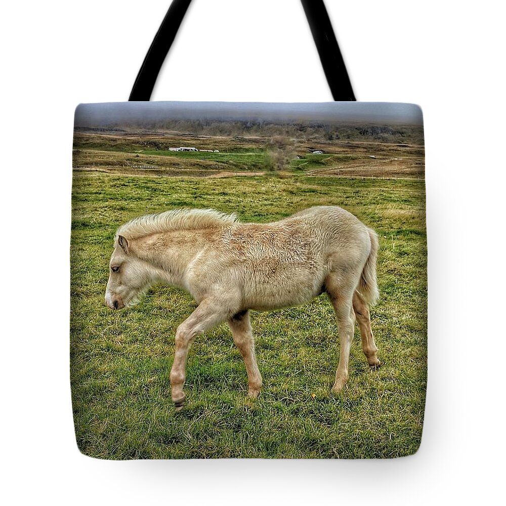 Iceland Tote Bag featuring the photograph Icelanding white Horse by Yvonne Jasinski
