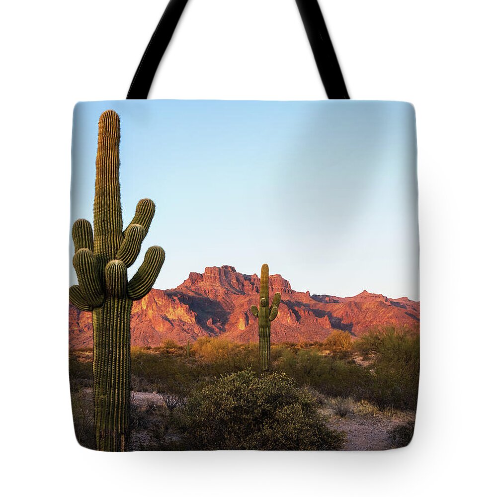 American Southwest Tote Bag featuring the photograph Iconic Cougar Shadow by Rick Furmanek