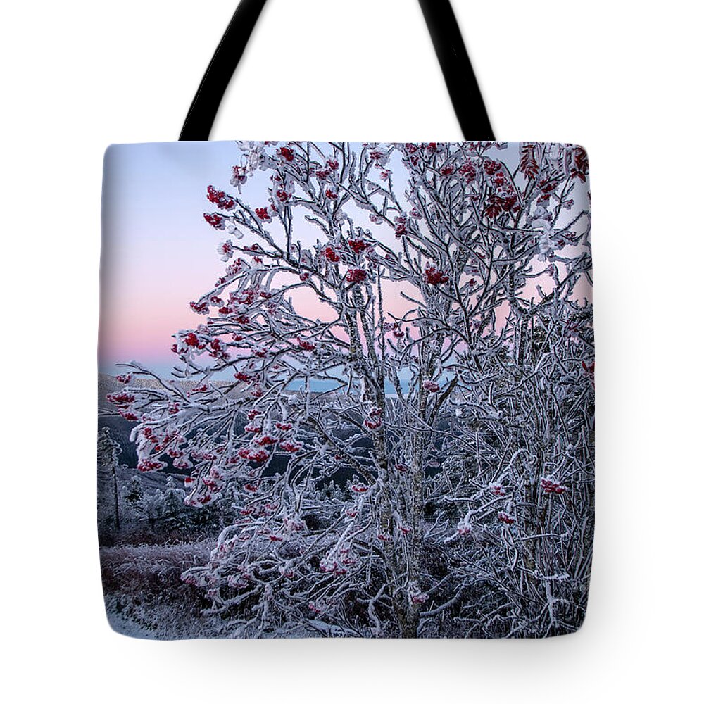 Dawn Tote Bag featuring the photograph Icy Dawn from Mount Mitchel by Jane Axman