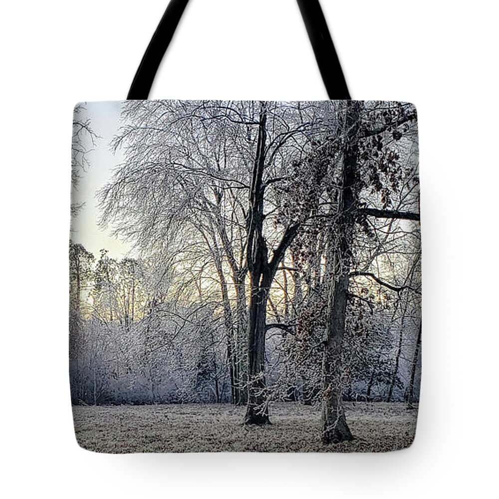 Historic Tote Bag featuring the photograph Icy Morning at Silverbrook Gateway by GeeLeesa