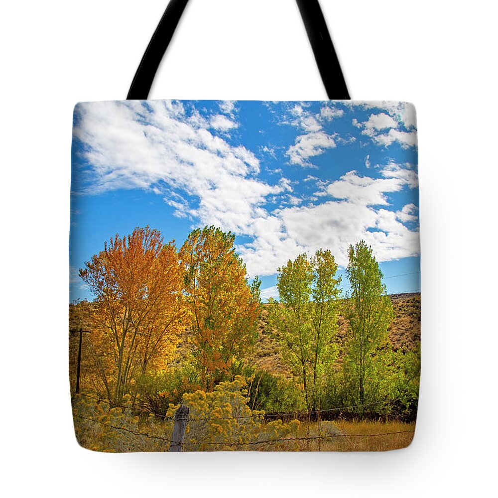 Fall Tote Bag featuring the photograph Idaho Fall Colors by Dart Humeston
