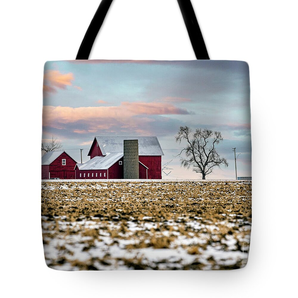 Illinois Farm Tote Bag featuring the photograph Illinois Farm with Canada Geese in the Corn Field by Sandra Rust