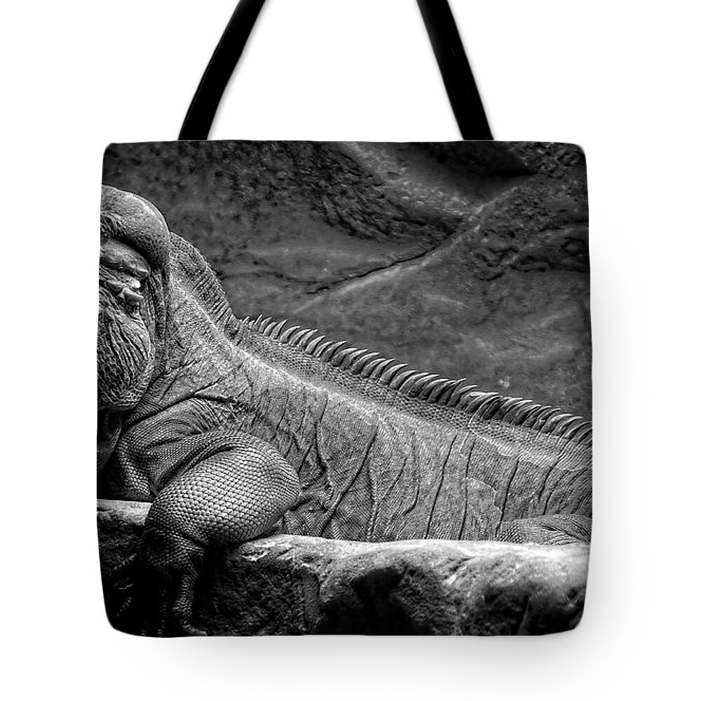 Lizard Tote Bag featuring the photograph I'm Cool How About You by George Taylor