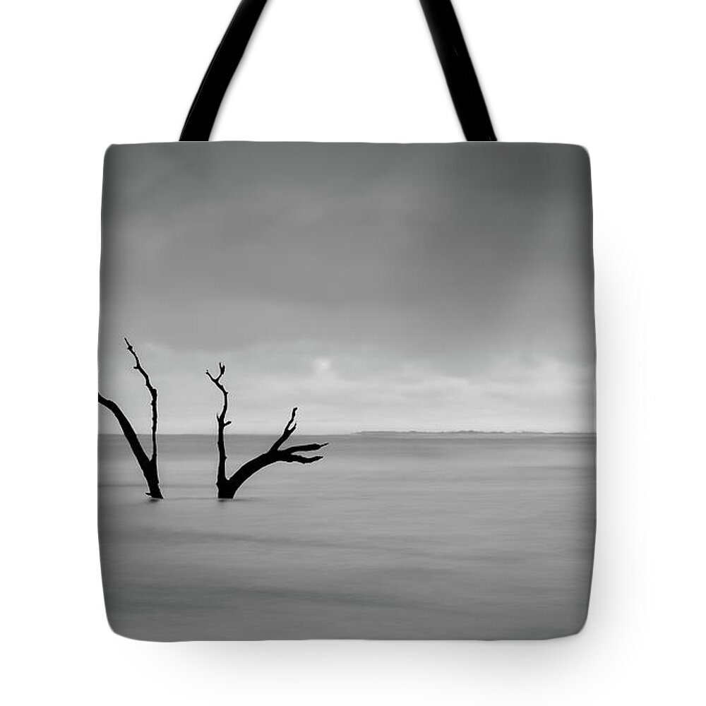 Folly Beach Tote Bag featuring the photograph I'm Not Alone - Folly Beach SC by Donnie Whitaker