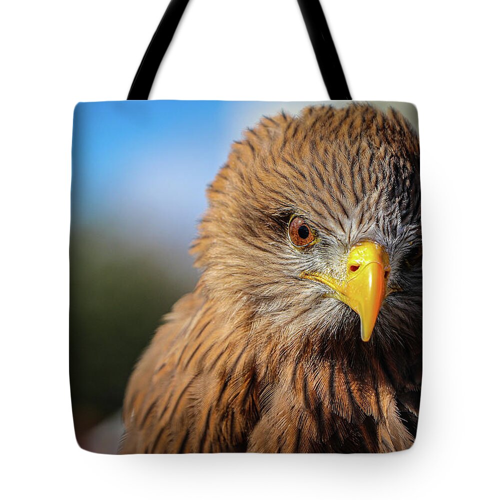 2020 Tote Bag featuring the photograph I'm watching you by Gerri Bigler