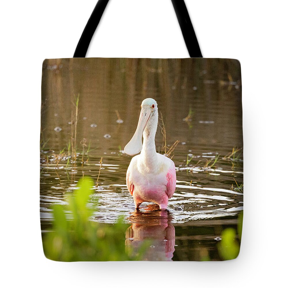 I5g_3472 Tote Bag featuring the photograph Images from the Dawn Patrol on Blackpoint Drive by Gordon Elwell