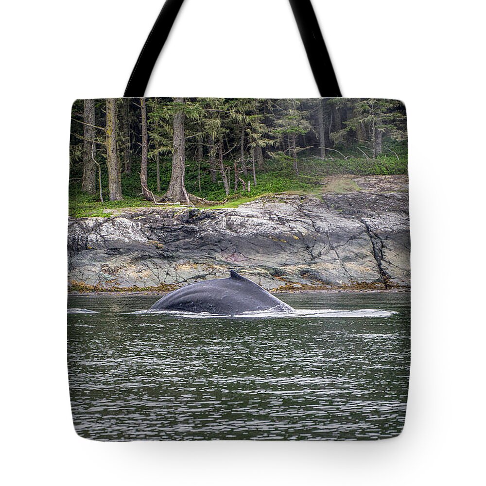 Humpback Whale Tote Bag featuring the photograph Impossible friendship by Canadart -