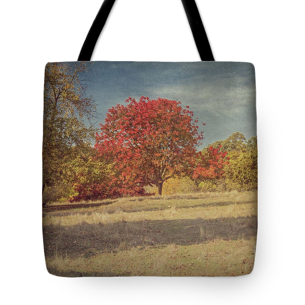 Impressionism Tote Bag featuring the photograph Impressions of Autumn by Elaine Teague
