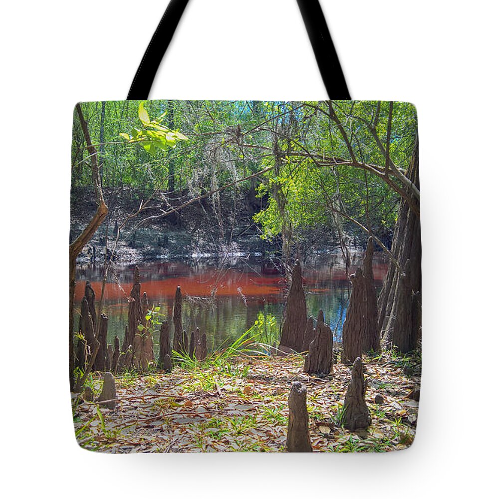 Cypress Swamp Tote Bag featuring the photograph In a Cypress Swamp by L Bosco
