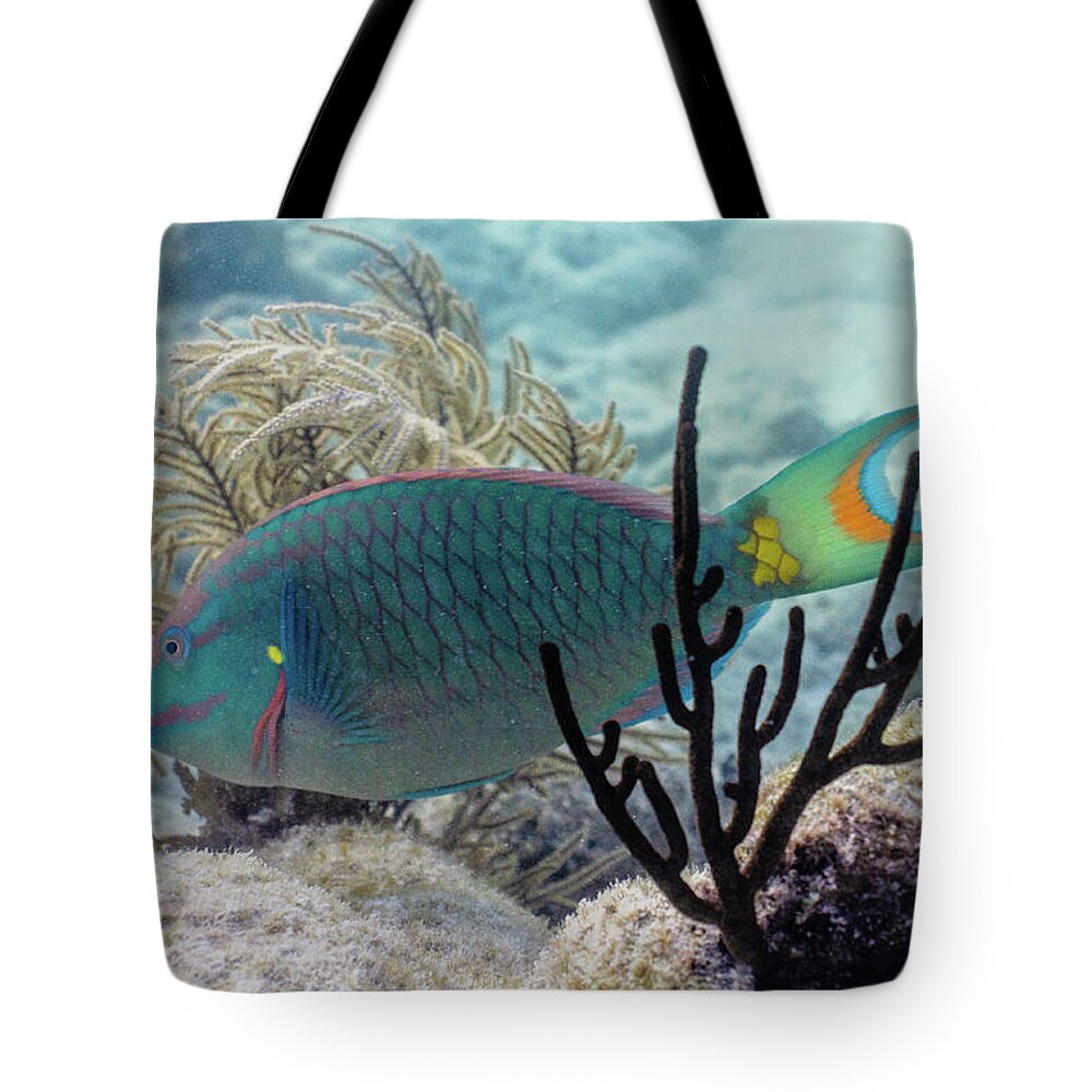 Stoplight Tote Bag featuring the photograph In Between by Lynne Browne