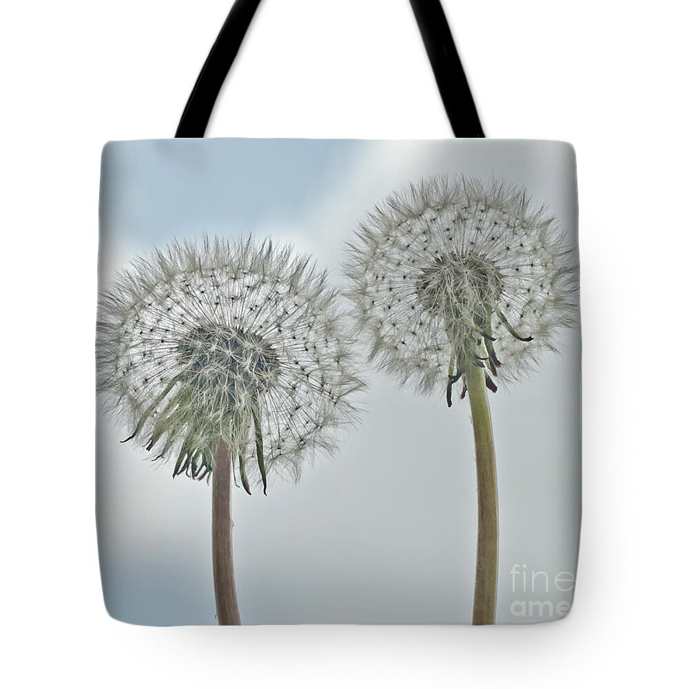 In Clouds Togetherness Two Duo Duet Couple Characters Dandelions Seed Heads Beauties Beautiful Delightful Subtle Delicate Gentle Soft Painterly Pastel Watercolor Artistic Flowers Serenity Atmospheric Stylish Conceptual Dreams Magical Relaxing Tranquil Together Impressions Impressionism Simplicity Happy Jolly Joyful Fluffy White Blue Sky Touching Pretty Attractive Emotional Round Inspiring Imaginations Poetic Uplifting Soulful Idyllic Metaphorical Symbolic Passion Allure Airily Light Compassion  Tote Bag featuring the photograph Smile - IN CLOUDS - TOGETHERNESS - BEFORE TAKEN OFF FOR THE FLY by Tatiana Bogracheva