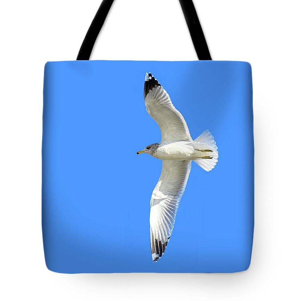 Beak Tote Bag featuring the photograph In Flight by David Lawson