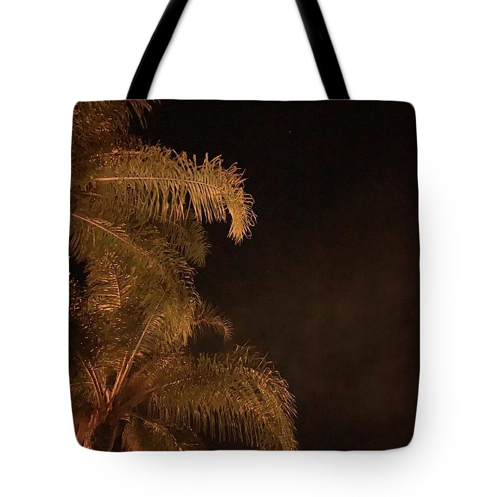 Love Tote Bag featuring the photograph In Love And Light by Tiesa Wesen