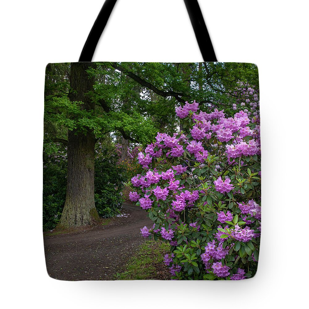 Jenny Rainbow Fine Art Photography Tote Bag featuring the photograph In Rhododendron Woods 28 by Jenny Rainbow