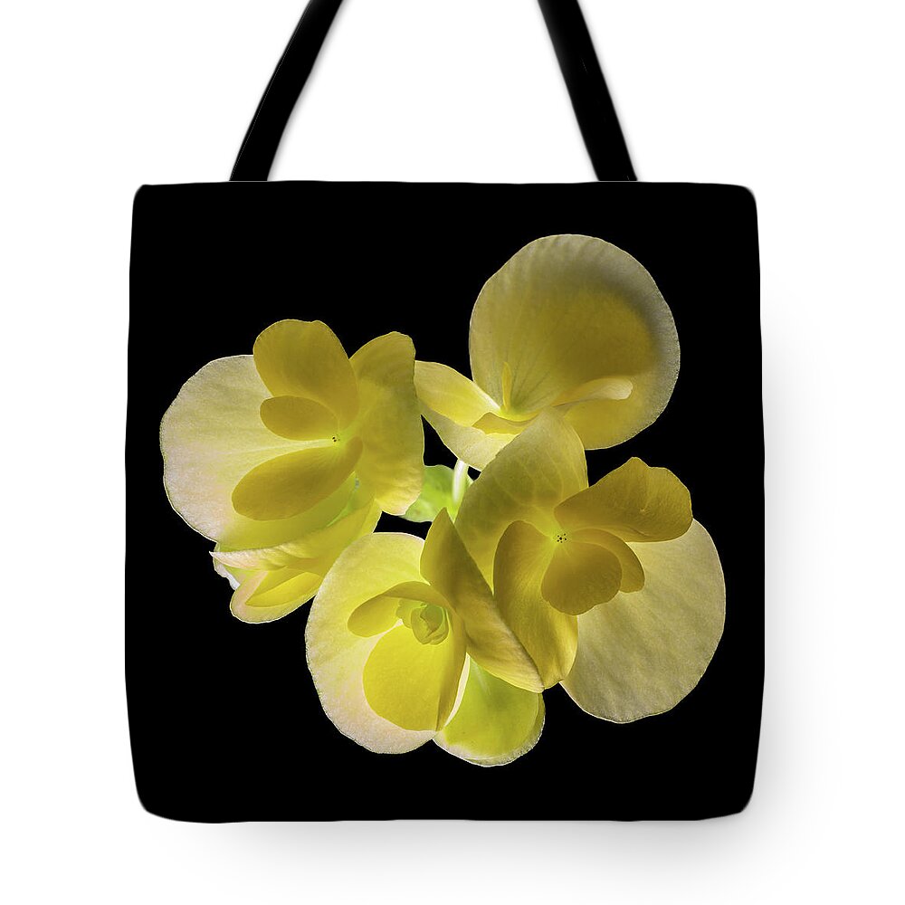 Backlight Tote Bag featuring the photograph In Search Of by Kevin Suttlehan