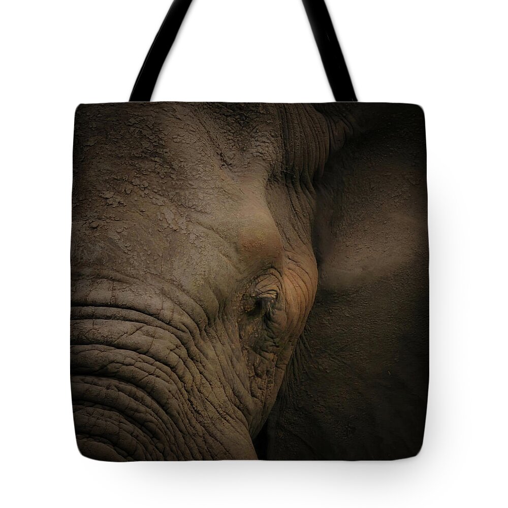 Elephant Portrait Tote Bag featuring the photograph In the Face of Danger by Rebecca Herranen