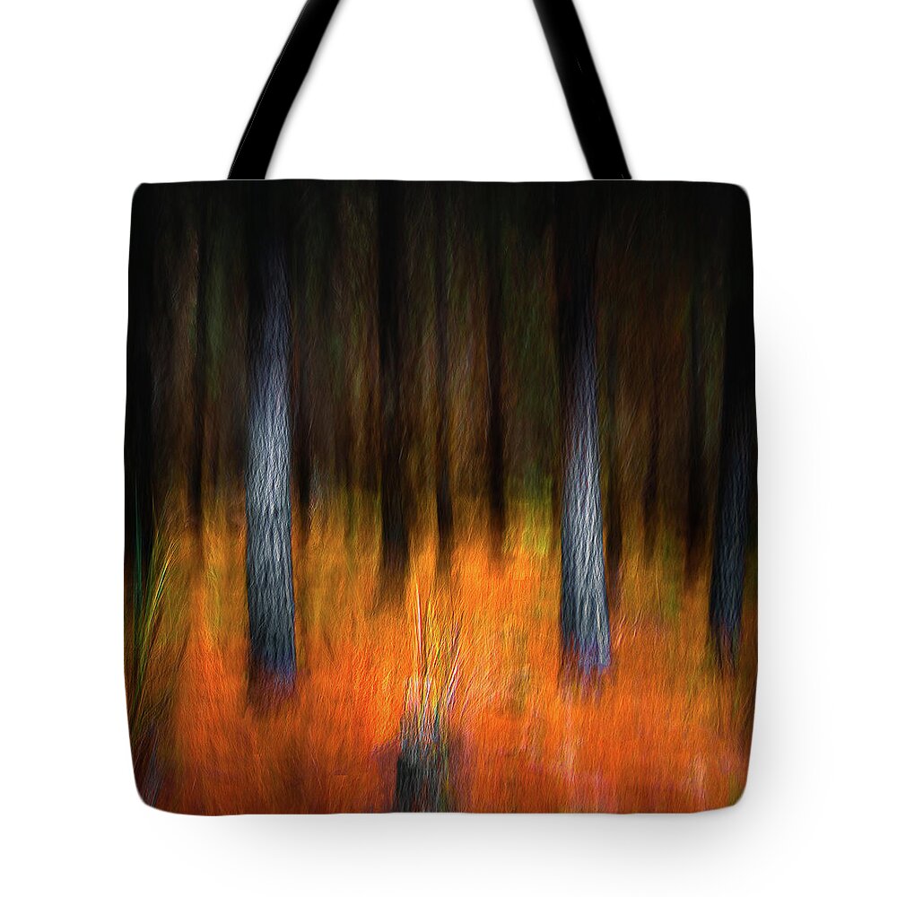 Landscape Tote Bag featuring the photograph In the Forest by Grant Galbraith