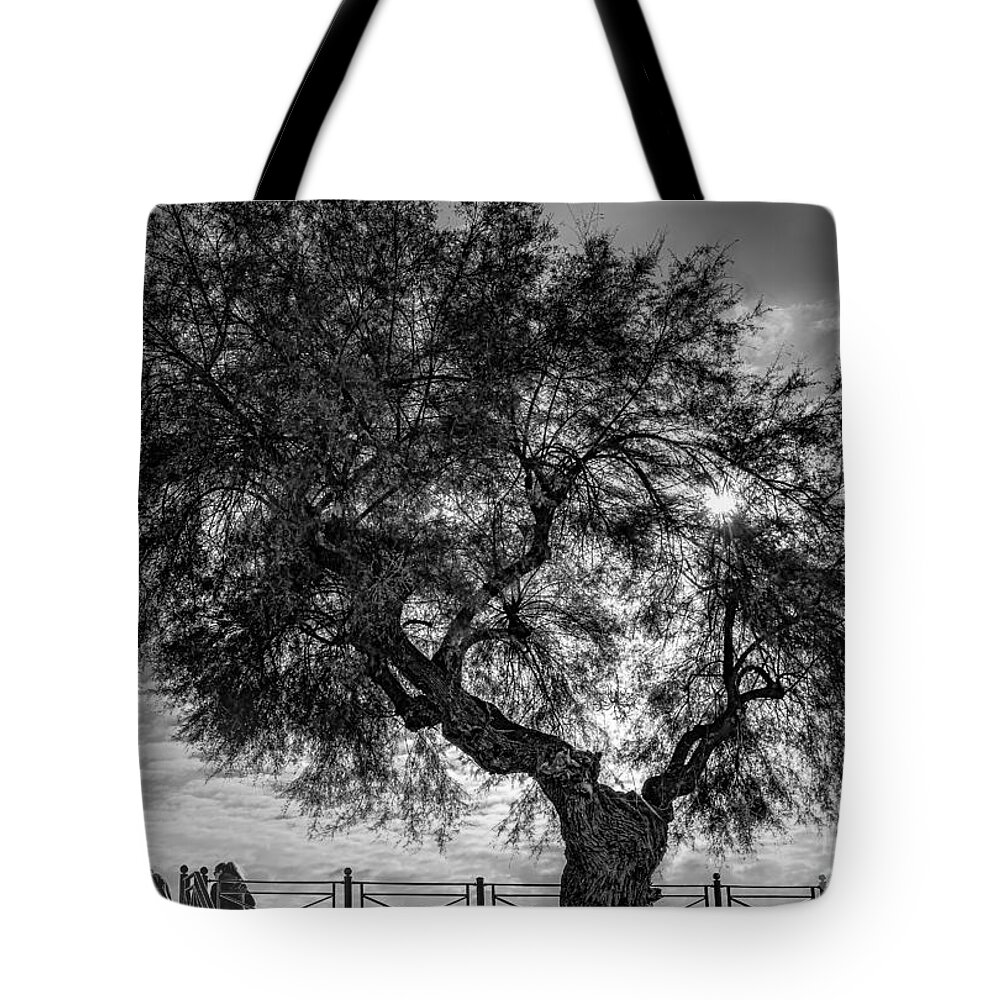 Scene Tote Bag featuring the photograph In the shade of a large tree by The P