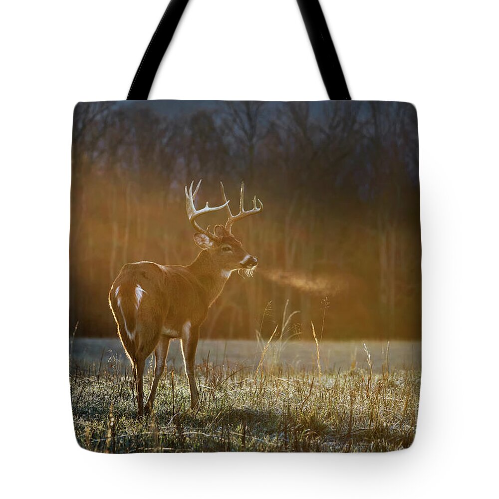 Buck Tote Bag featuring the photograph In the Spotlight by Anthony Heflin